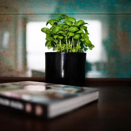 Easy Rent- Metropolitan 75 Hala Globus, 24h Check-in, Zana