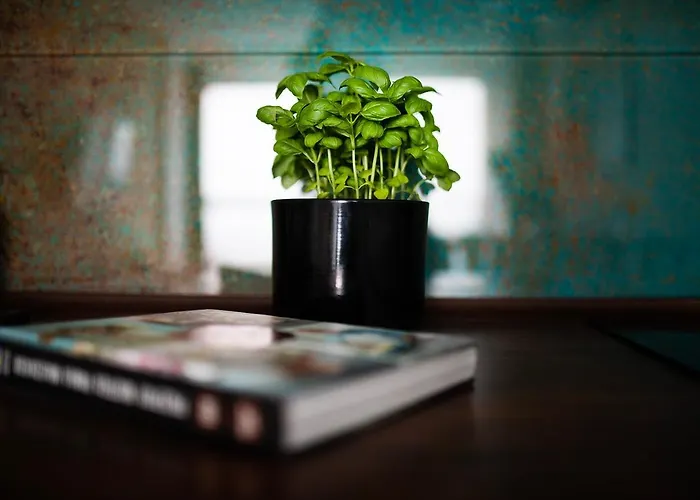 Easy Rent- Metropolitan 75 Hala Globus, 24h Check-in, Zana